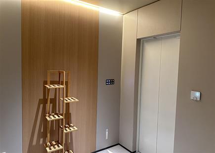 建業(yè)桂圓-別墅電梯